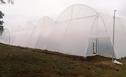POLY TUNNEL
