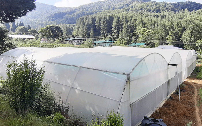 Poly Tunnel Project
